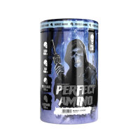 SKULL LABS® PERFECT AMINO 450g Blackberry Pineapple