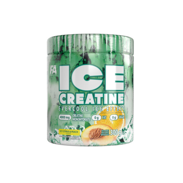 FA ICE CREATINE 300g